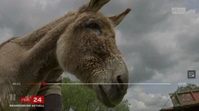 Rundfunk Berlin-Brandenburg (Bild vergr&ouml;&szlig;ern)
