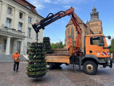 Pflanzkübel verschönern wieder den Malchiner Marktplatz