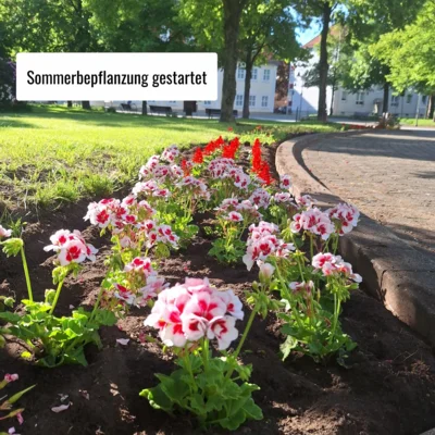 Sommerbepflanzung 2026 (Bild vergr&ouml;&szlig;ern)