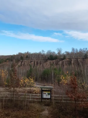 S. Nitzsche, Naturwacht Brandenburg; Restloch 124 (Bild vergr&ouml;&szlig;ern)