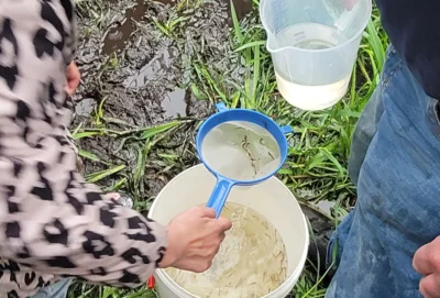 Meerforellenprojekt (Bild vergr&ouml;&szlig;ern)