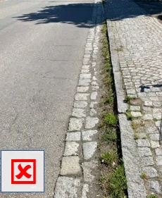 Foto: (Foto: Amt FA) Foto zur Meldung: Straßenreinigungspflicht: Einwuchs und Verunreinigungen in den Rinnstein der Straße sowie Überwuchs müssen entfernt werden