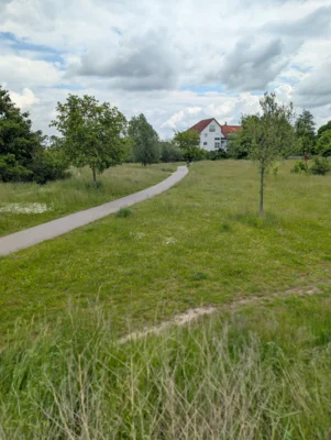 Zwei Grünprojekte zum Beitrag: Naunhof gestaltet seine Innenstadt neu