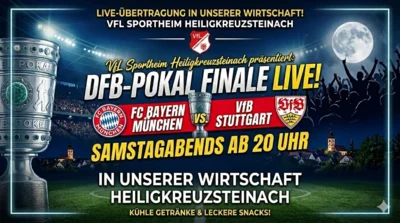 DFB-Pokal: Finale im VfL Sportheim (Bild vergr&ouml;&szlig;ern)