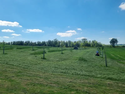 Pflegeeinsatz auf der Streuobstwiese durchgeführt