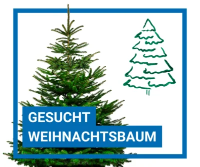 Die Gemeinde Kloster Lehnin sucht einen Weihnachtsbaum (Bild vergr&ouml;&szlig;ern)