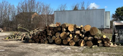 Holzauktion Stadt Bad Schmiedeberg