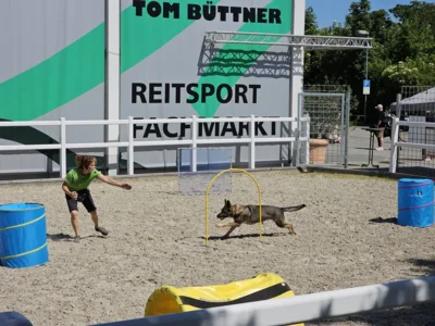 susi (Bild vergr&ouml;&szlig;ern)
