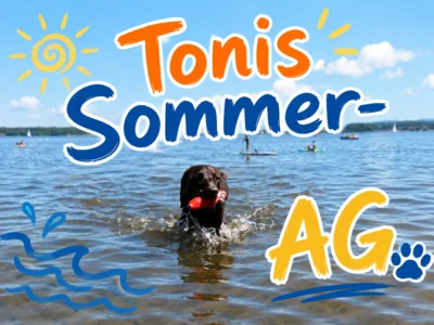 Tonis Sommer AG (Bild vergr&ouml;&szlig;ern)