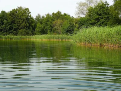 Badegewässer im Landkreis erneut ausgezeichnet (Bild vergr&ouml;&szlig;ern)