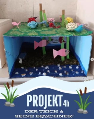 🐸 „Der Teich und seine Bewohner“ 🐸