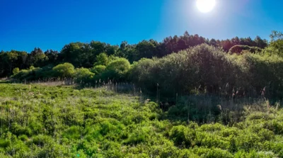 Meldung: Landschaftsschutzgebiet Mooster - Impressionen