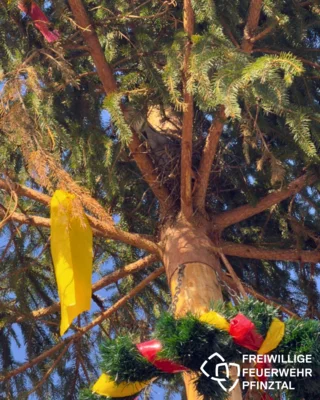 Der Maibaum in Kleinsteinbach bleibt länger stehen (Bild vergr&ouml;&szlig;ern)