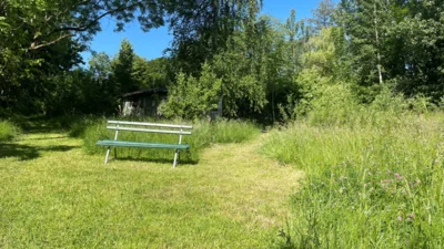 Eine Holzbank steht in einem teilweise gemähten Garten (Bild vergr&ouml;&szlig;ern)