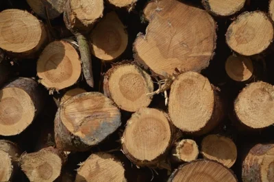 Holzstapel