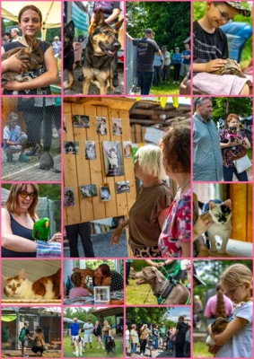 Collage Tiererlebnistag (Bild vergr&ouml;&szlig;ern)