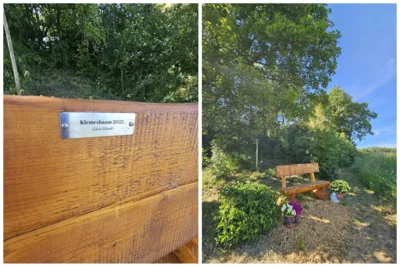 Ruhebänke aus Kirmesbaum gebaut.