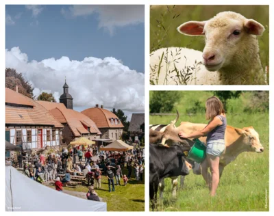 Collage Schäferfest (Bild vergr&ouml;&szlig;ern)