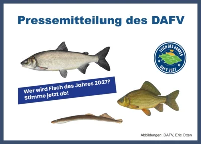 Foto zur Meldung: Fisch des Jahres 2027 - Jetzt Abstimmen! Foto zur Meldung: Fisch des Jahres 2027 - Jetzt Abstimmen!