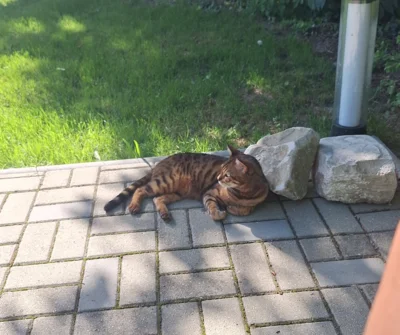 Foto zur Meldung