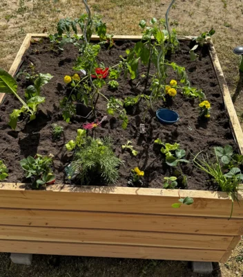 Unser Hochbeet-Projekt: Gemeinsam säen, pflanzen und wachsen