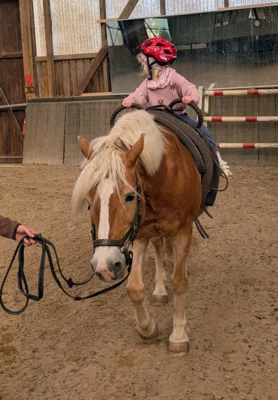 Meldung: Aufregender Reitausflug zum Hippo-Sportclub Leipzig