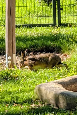Meldung: Kleine Entdecker im Garten