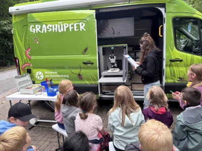 Jahrgang 1 erkundet den Wald - Besuch des Grashüpfermobils (Bild vergr&ouml;&szlig;ern)