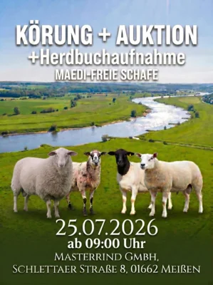 Meldung: Einladung zur zentralen Leistungsprüfung, Körung und Auktion für Schafe aus maedi-unverdächtigen Zuchten am 25. Juli 2026