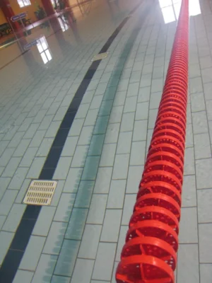 Schwimmen- Staffelwettkampf