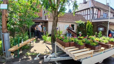 NVG Usenborn beim Bepflanzen der Blumenkästen (Bild vergr&ouml;&szlig;ern)