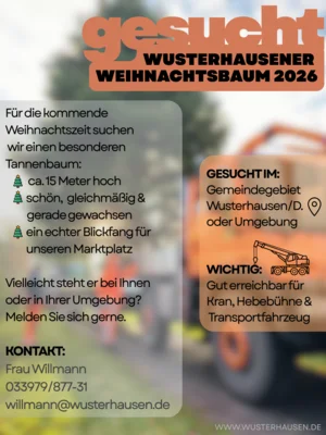 Vorschaubild zur Meldung: Weihnachtsbaum gesucht