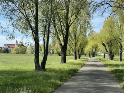 Elberadweg mit Schloss Pretzsch