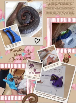 🔎 Kinderuni 🔍