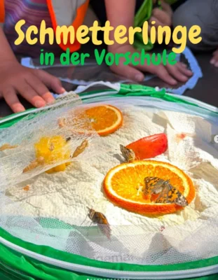 🌼🦋 Projekt in der Vorschule: Lebensraum Wiese 🦋🌼