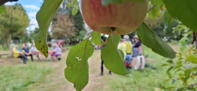 Interkulturelles Picknick im Gemeinschaftsgarten der LÜBBENAUBRÜCKE am 11. Juli (Bild: LÜBBENABRÜCKE, Nopper) (Bild vergr&ouml;&szlig;ern)