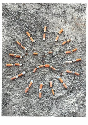 Zigarettenkippen im Wald – sind brandgefährlich!