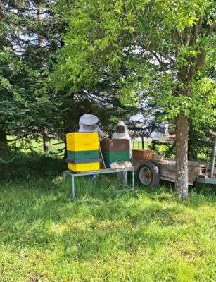 Kita Besuch bei den Bienen (Bild vergr&ouml;&szlig;ern)