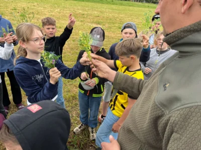 Schulprojekt zum Kreis-Erntefest 2026: Pflanzenexkursion auf dem Feld (Bild: Landkreis OSL/Daniela Lehmann) (Bild vergr&ouml;&szlig;ern)