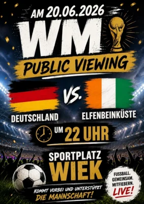 Public Viewing (Bild vergr&ouml;&szlig;ern)