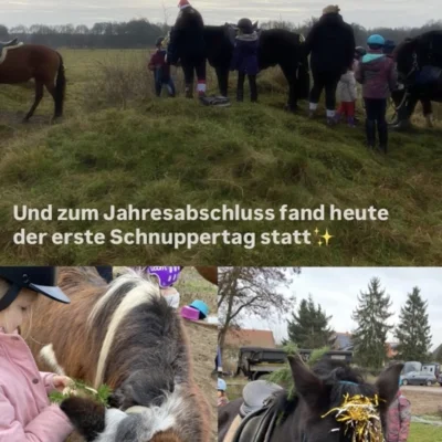 Meldung: Schnuppertag Ponyglück im Winterlicht