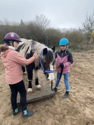 Meldung: Osterponycamp 26