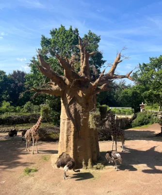 Foto zur Meldung: Besuch im Zoo Osnabrück Jahrgang 2 Foto zur Meldung: Besuch im Zoo Osnabrück Jahrgang 2