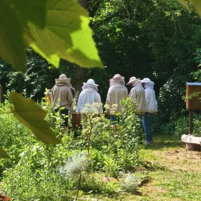 Meldung: Wenn die Bienchen einen Ausflug zu den Bienchen machen ...