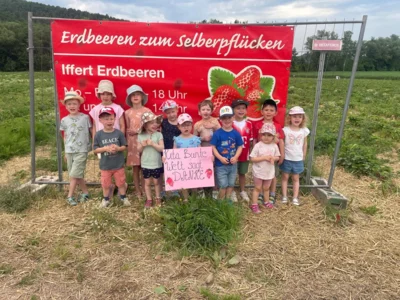 Kindergartenkinder beim Erdbeeren pflücken auf dem Feld Iffert (Bild vergr&ouml;&szlig;ern)