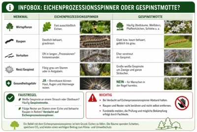 KI-generiertes Beispielfoto (Bild vergr&ouml;&szlig;ern)