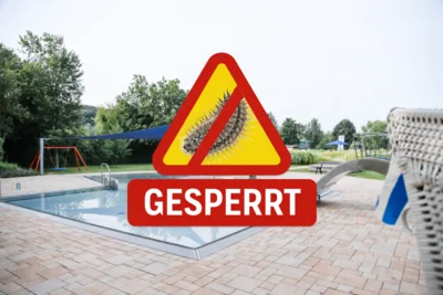 +++ ENTWARUNG! +++ Eichenprozessionsspinner im Kleinkindbereich des Freibads – Teilbereich vorübergehend gesperrt (Bild vergr&ouml;&szlig;ern)