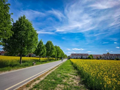 Foto: Radeweg zwischen Rangsdorf und Dahlewitz © Gemeinde Rangsdorf - AL14 Foto zur Meldung: Radweg Dahlewitz-Rangsdorf: Zweiter Bauabschnitt gestartet