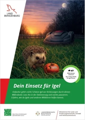 Schütze Igel vor Verletzungen durch deinen Mähroboter. Lass ihn in der Dämmerung und nachts pausieren. (Bild vergr&ouml;&szlig;ern)