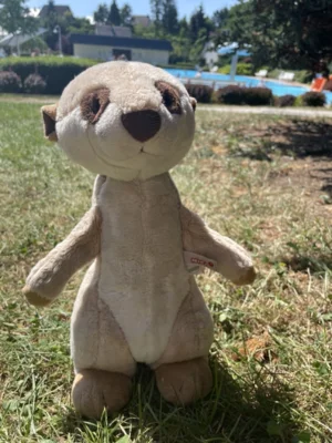 Meldung: Timon geht baden
